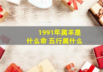 1991年属羊是什么命 五行属什么